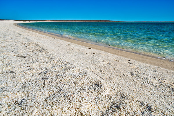 Ingo Öland: Denham-Shell-Beach; Klicken Sie auf das Bild um eine vergrößerte Ansicht sehen zu können.