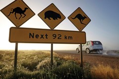 Eyre Peninsula: Eyre Highway; Klicken Sie auf das Bild um eine vergrößerte Ansicht sehen zu können. Copyright Bild: South Australian Tourism Commission