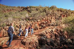 Eyre Peninsula - Gawler Ranges - Organ Pipes; Klicken Sie auf das Bild um eine vergrößerte Ansicht sehen zu können. Copyright Bild: South Australian Tourism Commission