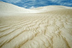 Ingo Öland: Cactus Beach; Klicken Sie auf das Bild um eine vergrößerte Ansicht sehen zu können.